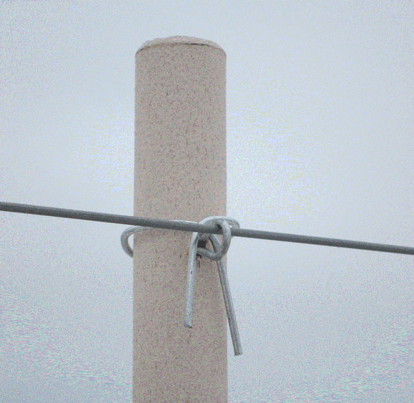 PasturePro Posts