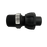 K-LINE MALE COUPLING