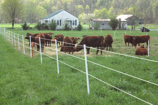 6' Poly T-Posts (1.5", 1.75", or 2.125" Width) 25/Pack * TYPICALLY SHIPS IN 1-2 WEEKS