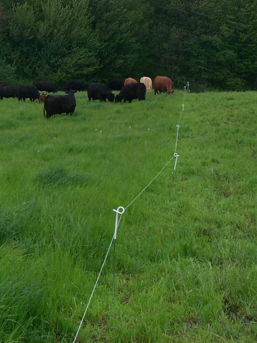 Pigtail Posts Storage Racks Box of 25 Pigtail Step-In Posts — American GrazingLands Services LLC